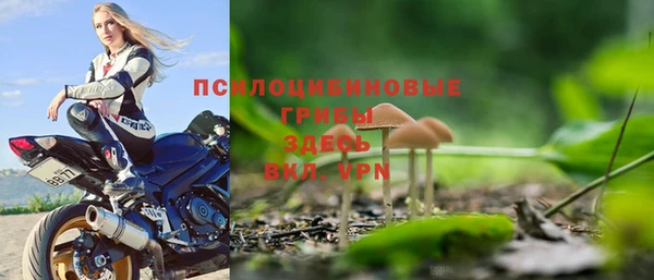 винт Бронницы