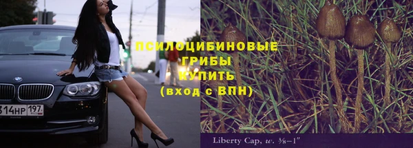 гашиш Бородино
