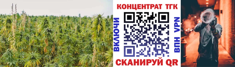 как найти   Сольцы  Дистиллят ТГК гашишное масло 