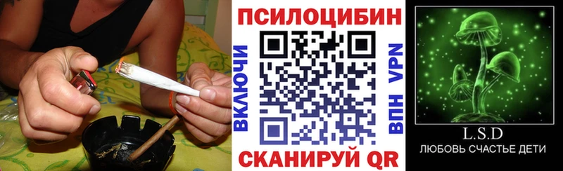 закладки  Сольцы  Галлюциногенные грибы ЛСД 