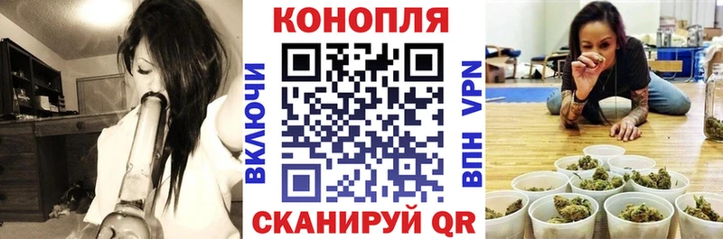 Бошки марихуана Bruce Banner  Сольцы 